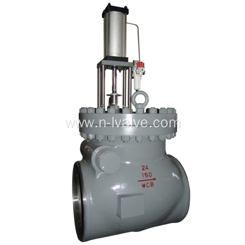 Extraction Non Return Valve